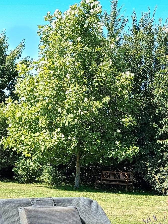 Gite D'Anne Et Ulysse Sept-Freres Exteriör bild