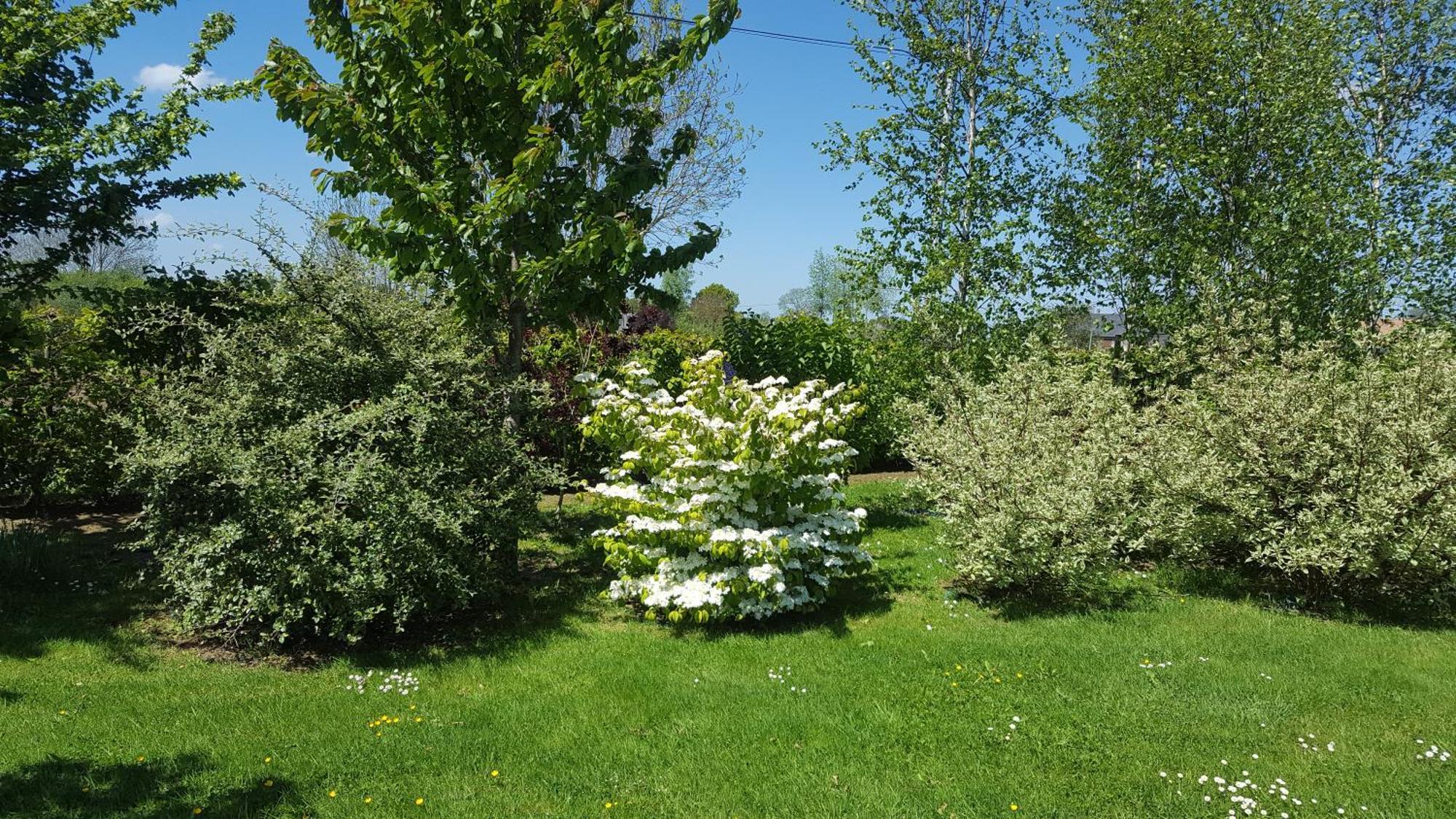 Gite D'Anne Et Ulysse Sept-Freres Exteriör bild